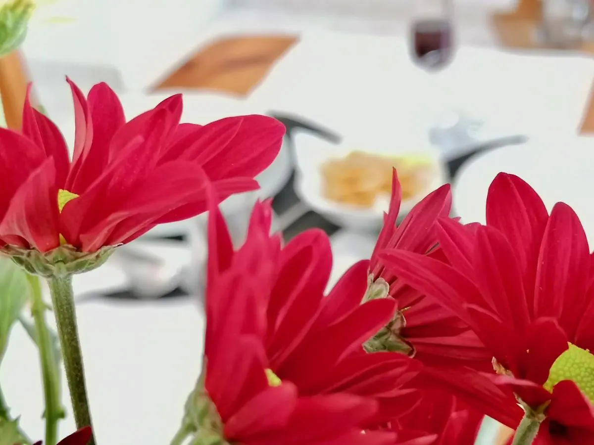 Apartment Americas Holiday Home Playa de las Americas