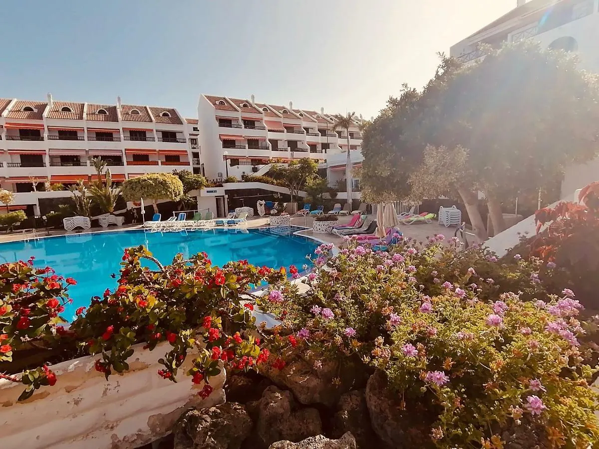 Americas Holiday Home Playa de las Americas  Apartment Playa de las Americas (Tenerife)